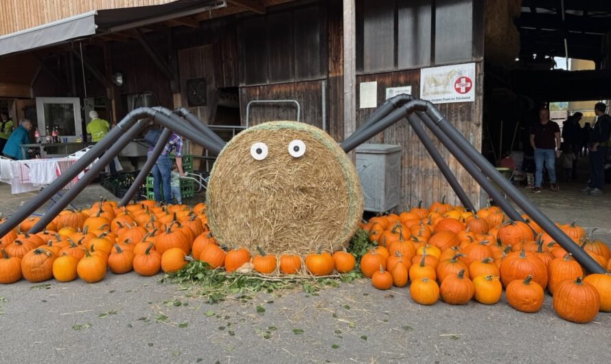 Gelungenes Kürbisfest in Knonau